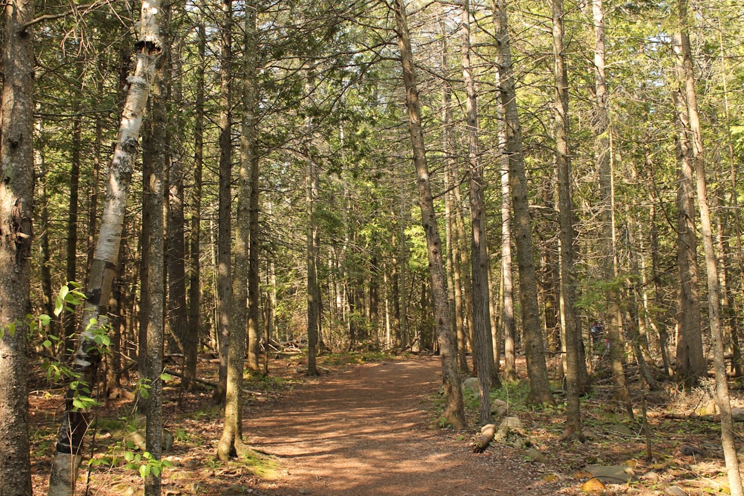 Photo Outdoor trail